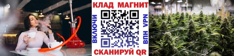 Названия наркотиков Звенигово Конопля  Меф мяу мяу  Галлюциногенные грибы  АМФ  Cocaine  Гашиш  Альфа ПВП 