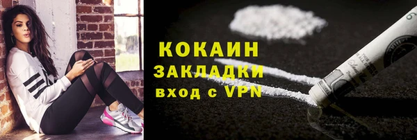 шишки Семёнов