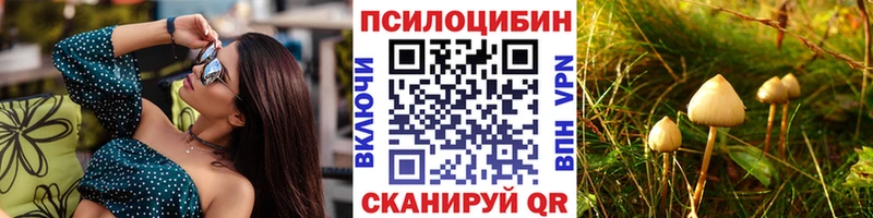 Галлюциногенные грибы Psilocybe  mega как войти  Звенигово 